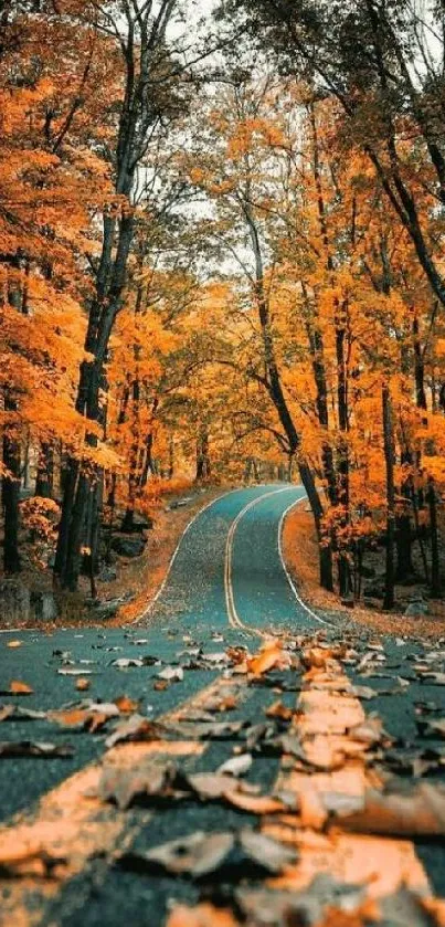 Winding road through an autumn forest with vibrant orange leaves.