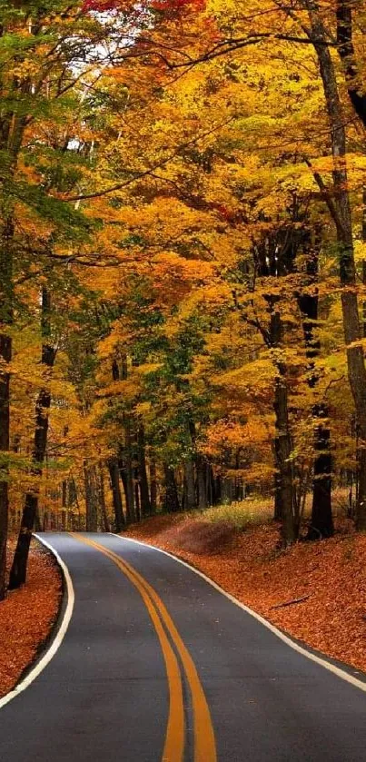 Winding road through a vibrant autumn forest with colorful foliage.