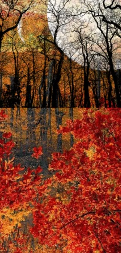 Autumn forest wallpaper with vibrant red foliage and clear sky.