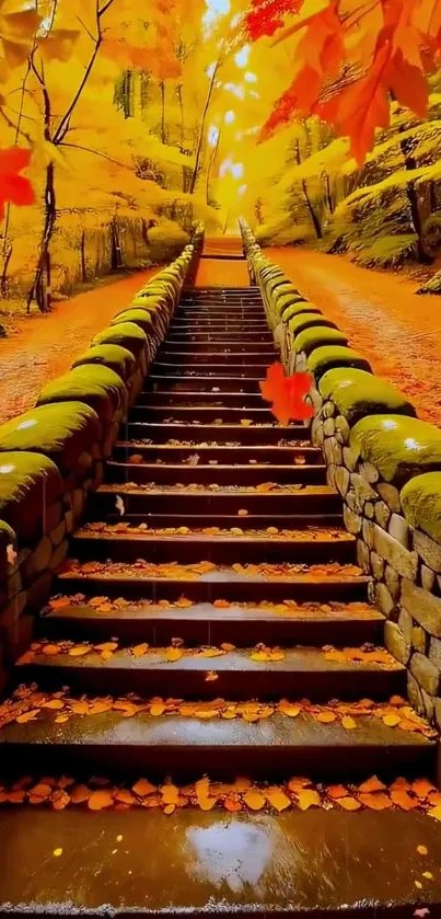 Vibrant autumn stairs in a forest.