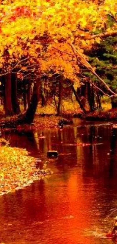 Vibrant autumn forest stream with orange foliage and reflective water.