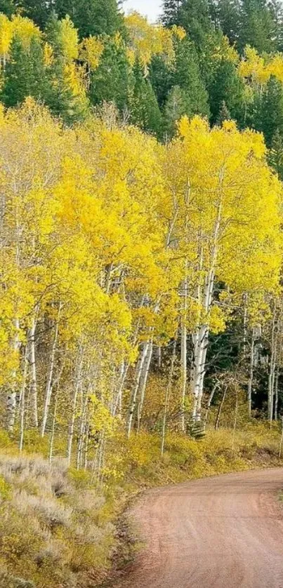 Yellow autumn trees line a rustic forest trail under a blue sky.