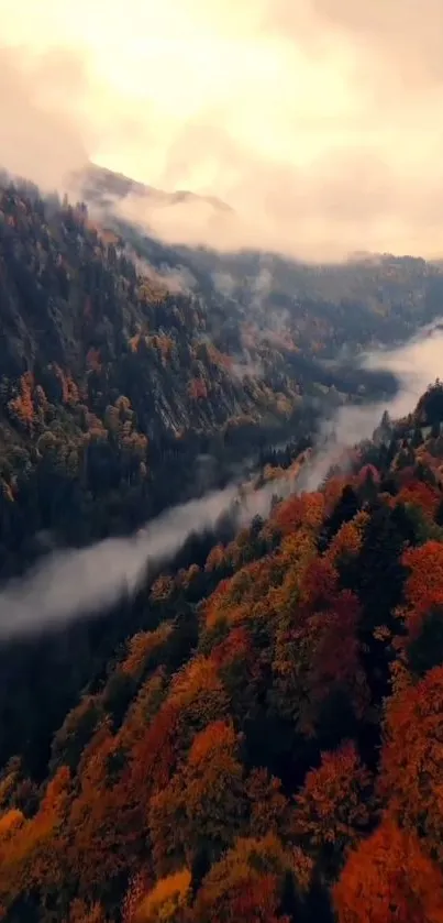 Autumn forest with misty mountains and colorful foliage.