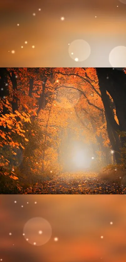 Autumn path through an orange-tinged forest with falling leaves.