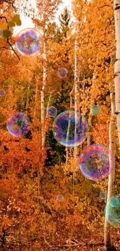 Autumn forest with orange leaves and bubbles in sunlight.