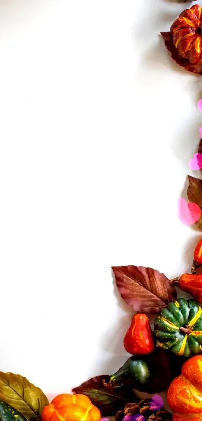Autumn harvest wallpaper with pumpkins and leaves on a white background.