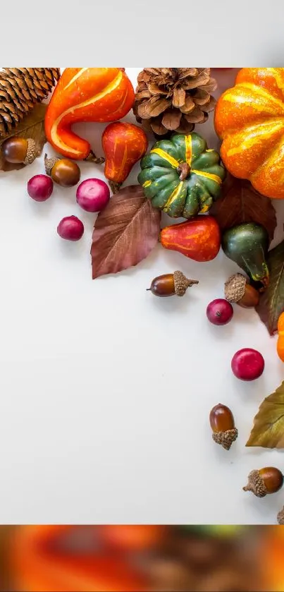 Autumn-themed mobile wallpaper with pumpkins and pinecones.