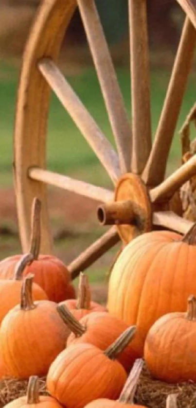 Decorative autumn pumpkins with rustic wheel.