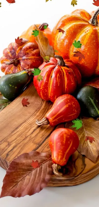 Colorful autumn harvest with pumpkins and leaves on a wood board.