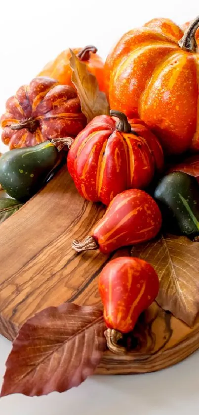 Vibrant pumpkins and gourds on wooden board, autumn-themed wallpaper.