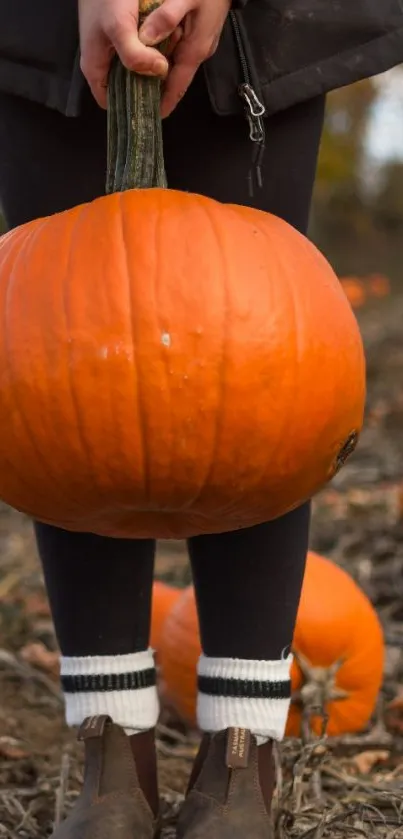 Person holding a pumpkin in an autumn field.