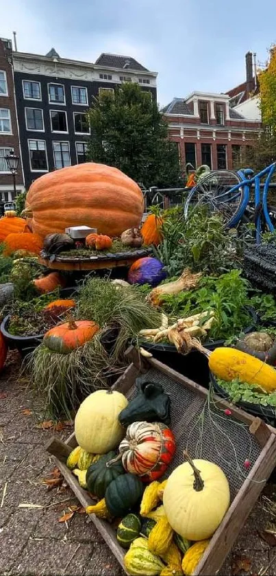 Colorful pumpkins and foliage in a scenic street setting, ideal for autumn wallpaper.