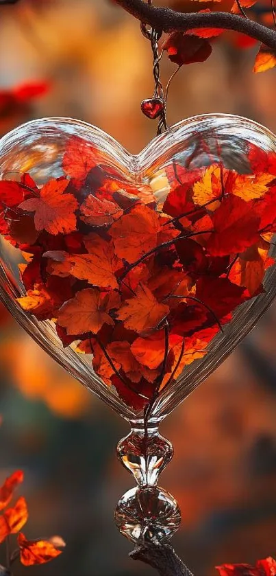 Glass heart with autumn leaves, hung on tree branch.