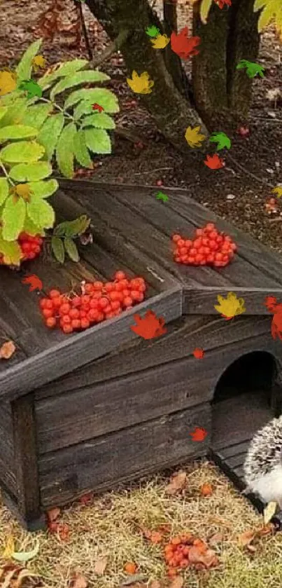 Hedgehog by cabin surrounded by autumn leaves and berries.