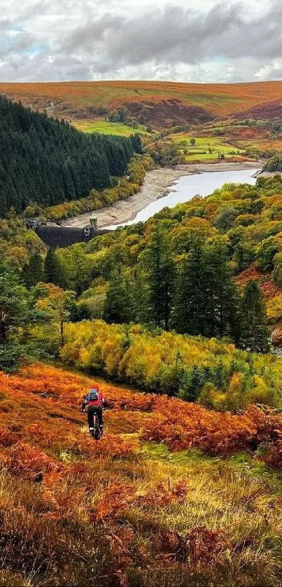 Scenic autumn valley with colorful trees and a distant hiker.