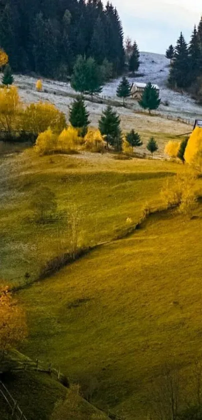 Autumn hillside with golden trees and lush greenery in a serene landscape.