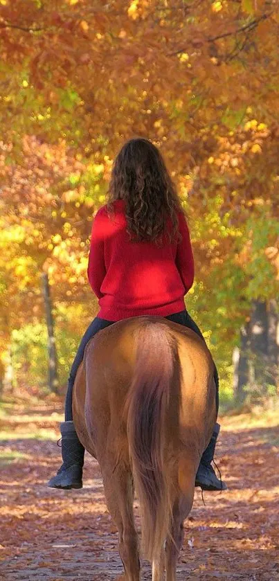 Horseback rider in autumn forest scene with vibrant fall colors.