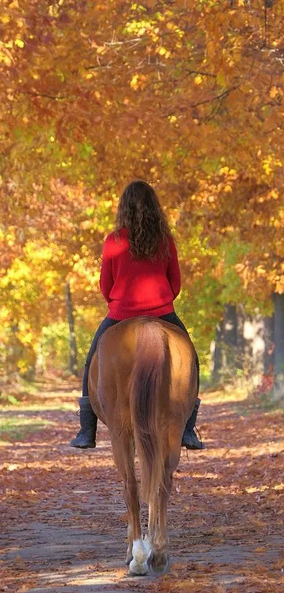 Person on horseback in autumn forest path, vibrant orange leaves.