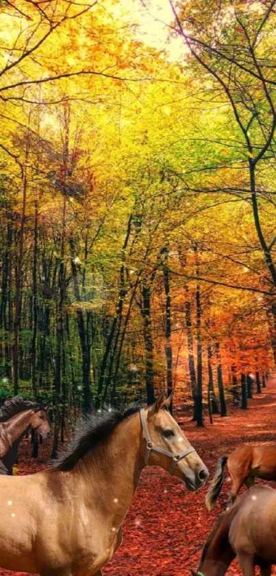 Horses in an autumn forest with vibrant orange and yellow leaves.