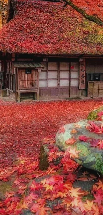 Japanese cottage with red autumn leaves covering the ground and roof.