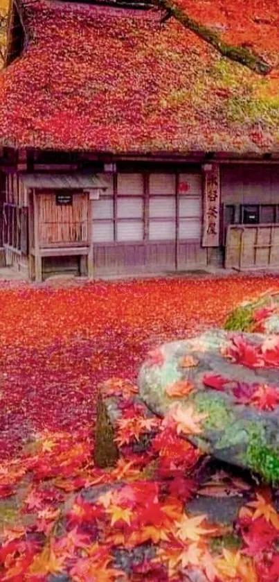 Japanese cottage surrounded by vibrant autumn leaves.