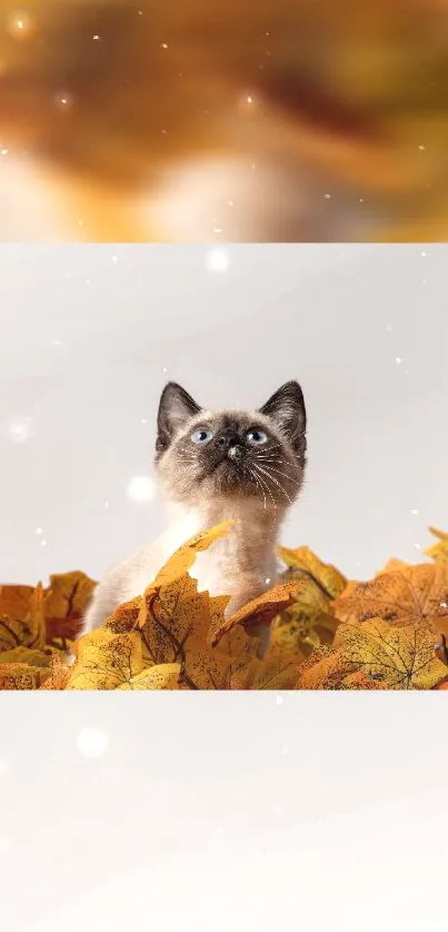 Kitten sitting among autumn leaves in a serene setting.