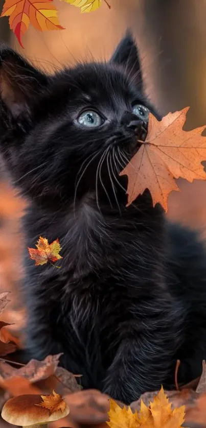 Cute black kitten surrounded by autumn leaves, perfect for a cozy wallpaper.