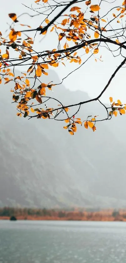 Scenic autumn lake with mountains and orange leaves.