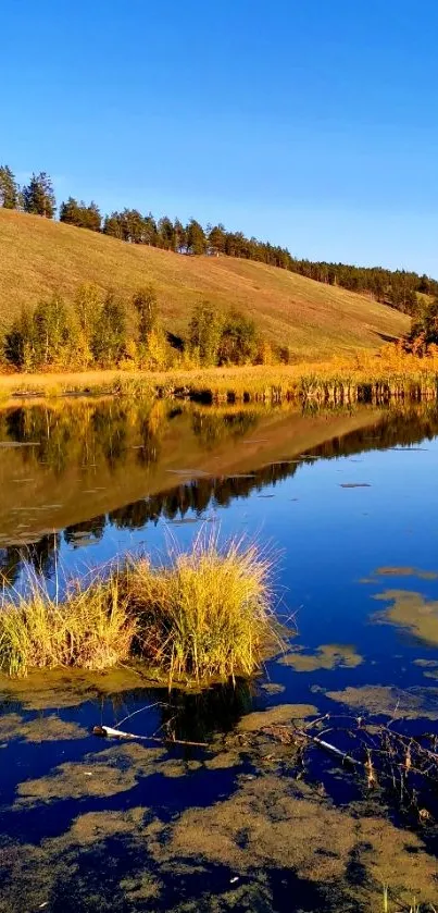 Serene autumn landscape with lake reflection.