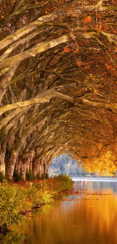 Autumn trees reflecting in calm lake.