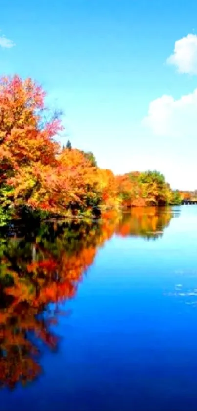 Serene autumn lake with vibrant tree reflections in mobile wallpaper.