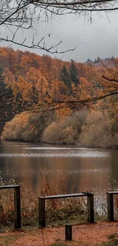 Serene autumn lake scene with vibrant foliage.