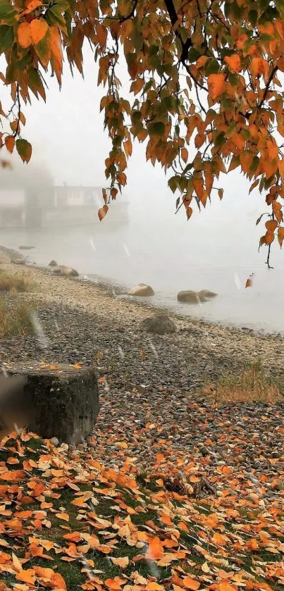 Peaceful lakeside view with autumn leaves and misty atmosphere.