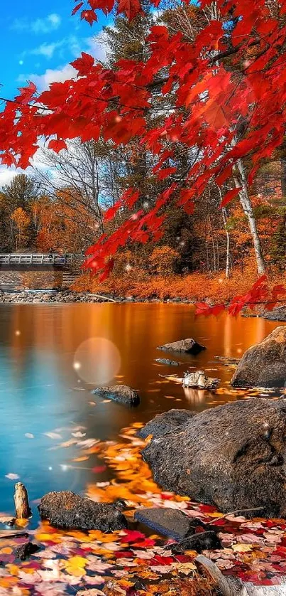 Autumn lakeside with vibrant red leaves, tranquil water, and rocky shoreline.