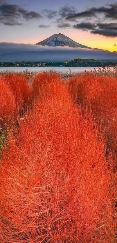 Scenic autumn landscape with red fields and a mountain in the background.