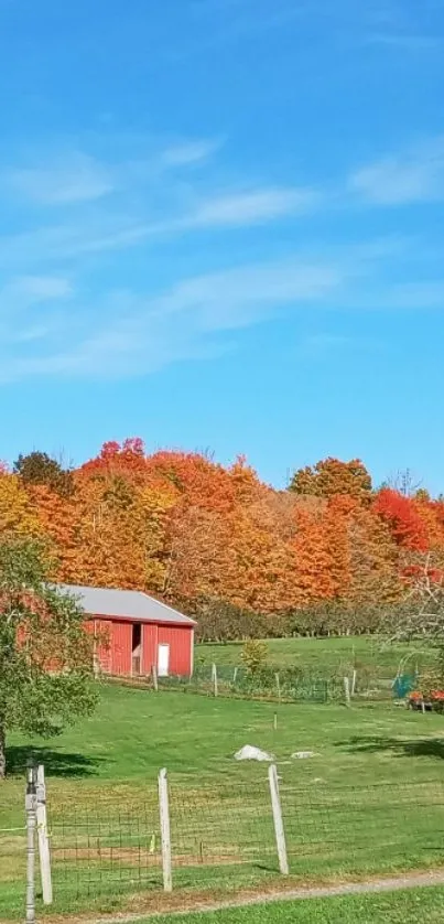 Countryside in autumn with colorful foliage and a blue sky.