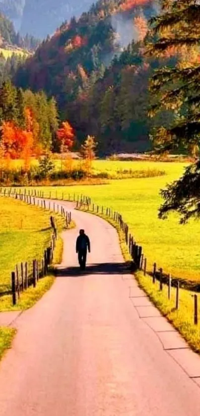 Man walking down a country road surrounded by autumn colors and lush greenery.