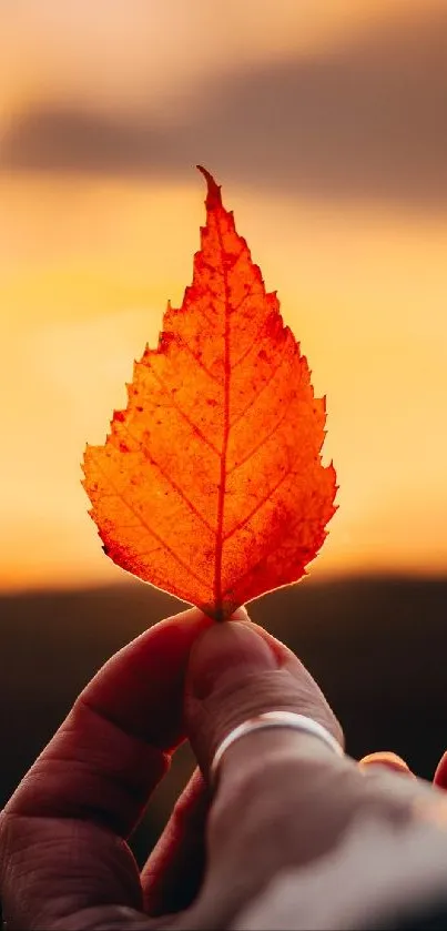 A hand holds an autumn leaf against a sunset sky.