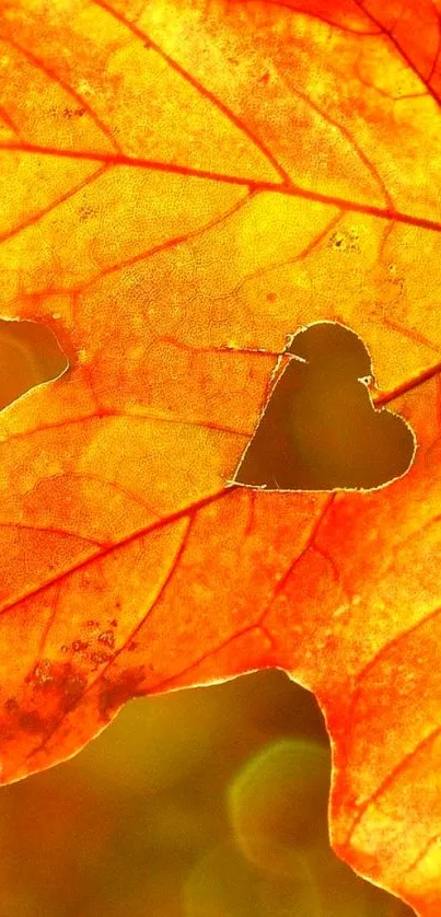 Vivid autumn leaf with heart cutout design, perfect for mobile wallpaper.