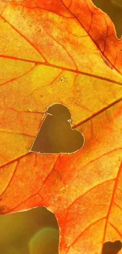 Vibrant orange autumn leaf with heart cutout.