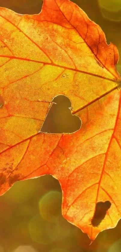 Orange autumn leaf with heart-shaped cutout on a warm background.