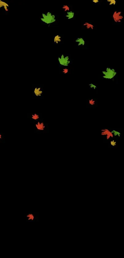 Minimalist wallpaper with colorful autumn leaves on black.