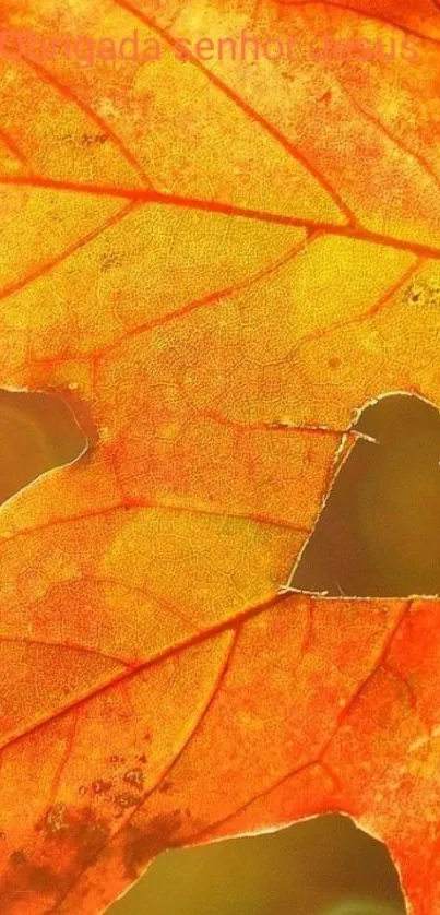 Bright orange autumn leaf with heart-shaped cutout.