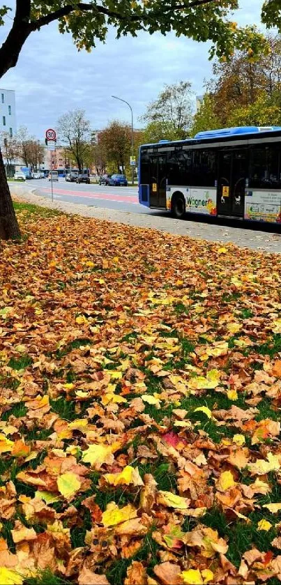 Vibrant autumn leaves with a city bus in the background, capturing fall essence.