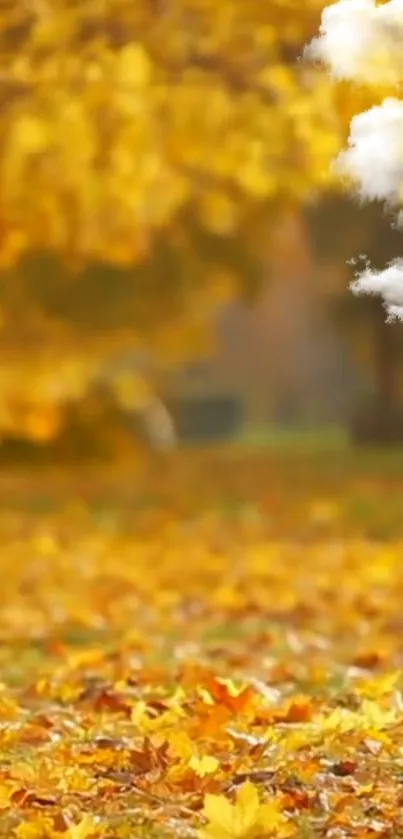 Golden autumn leaves with white clouds on a mobile wallpaper.