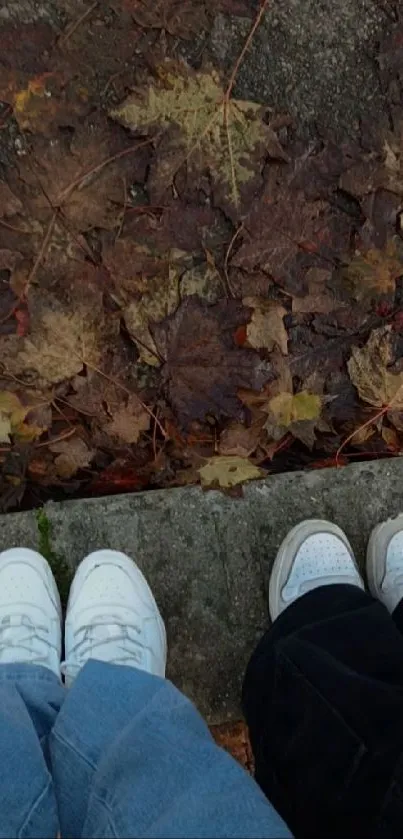 Two pairs of sneakers on autumn leaves.