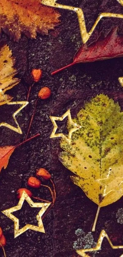 Autumn leaves with star pattern on a dark background.