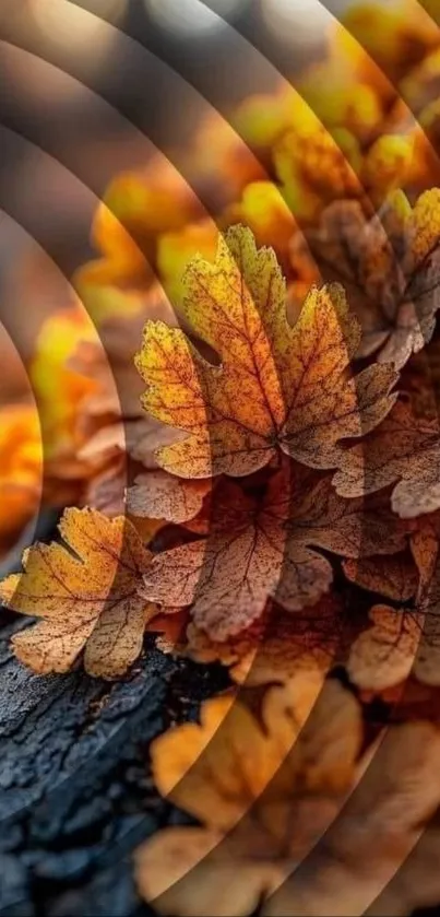 Vibrant autumn leaves on textured bark with artistic pattern.