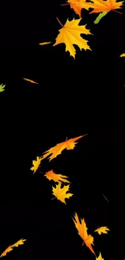 Mobile wallpaper with autumn leaves on a black background