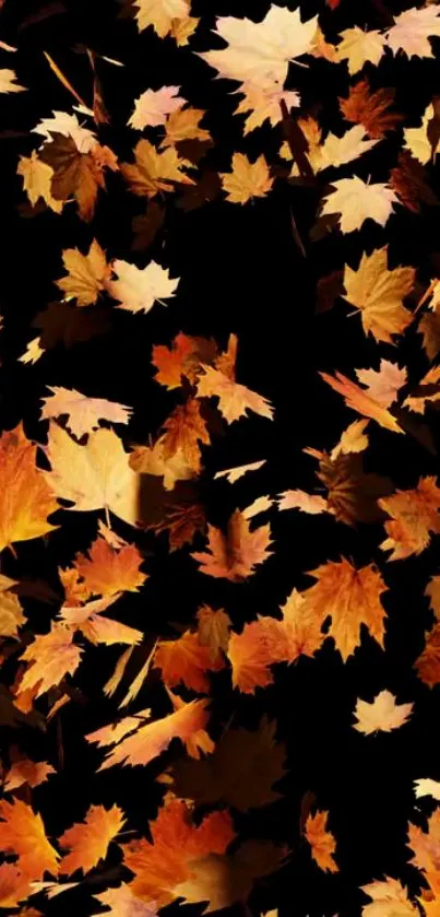 Vibrant autumn leaves on a black background mobile wallpaper.